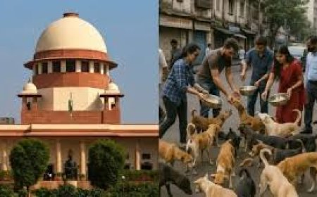 मेनका गांधी की टिप्पणी पर भावी CJI भड़के, अवमानना की चेतावनी