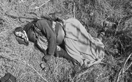 छत्तीसगढ़ के बलरामपुर जिले में पति ने अपनी पत्नी को मार डाला