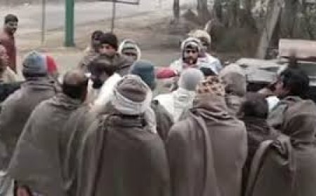 सामूहिक रूप से जहर देकर कुत्तों को मारने का आरोप