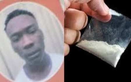 रायपुर एयरपोर्ट पर अंतरराष्ट्रीय ड्रग तस्करी का भंडाफोड़, DRI ने नाइजीरियाई नागरिक को दबोचा