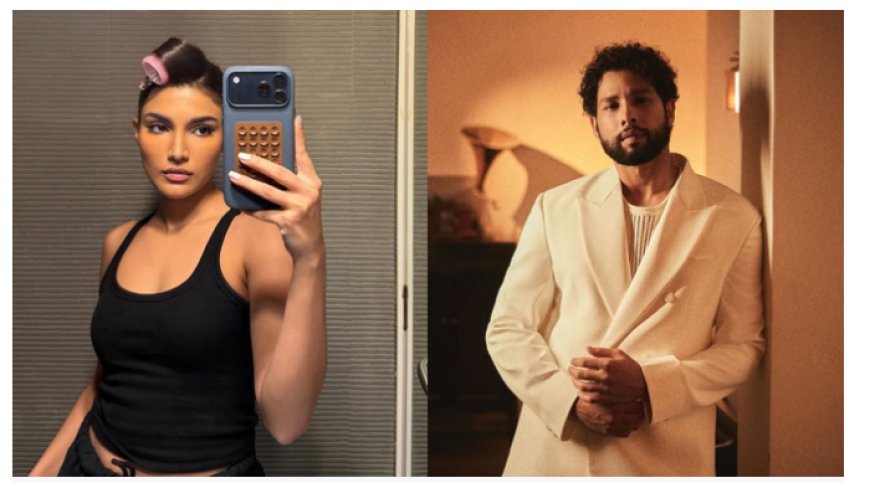 म्यूजिकल प्रोजेक्ट में सिद्धांत चतुर्वेदी के साथ नजर आएंगी अलीजेह अग्निहोत्री, ऑस्कर विजेता फिल्म का है रीमेक