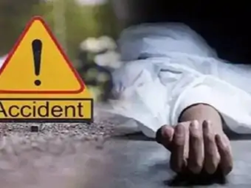 दुर्ग जिले में शुक्रवार को सड़क हादसे में एक युवक की मौत हो गई