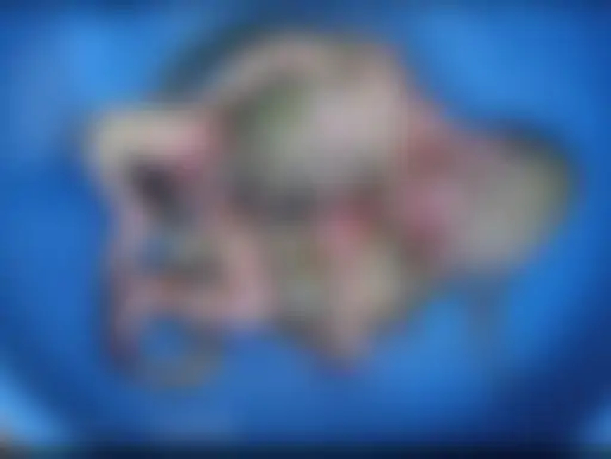 छत्तीसगढ़ के बालोद जिले के दल्लीराजहरा के शहीद हॉस्पिटल के डिलीवरी वार्ड के बाहर शौचालय की टॉयलेट सीट में नवजात भ्रूण मिला