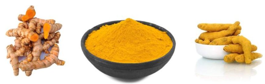 हल्दी की तीन किस्में– कच्ची, सूखी और पाउडर; सेहत पर कौन देती है ज्यादा फायदा, कैंसर रिस्क कम करने में क्या है बेस्ट