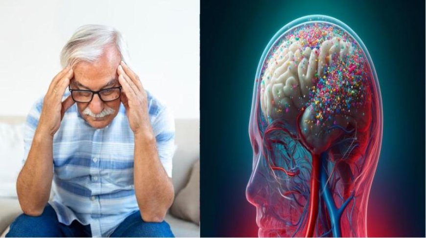 माइक्रोप्लास्टिक और दिमागी सेहत पर खतरे की घंटी; ताज़ा शोध में अल्ज़ाइमर से जुड़ा नया रिश्ता सामने आया