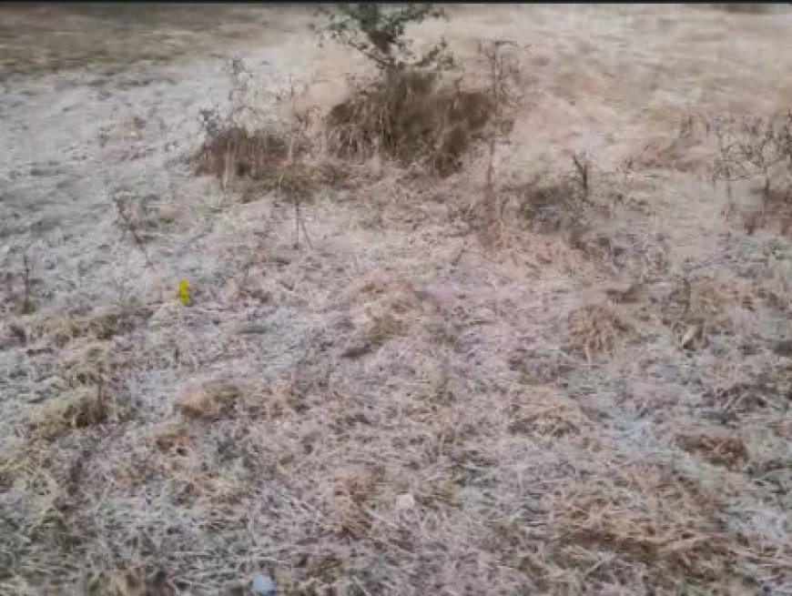 छत्तीसगढ़ के सरगुजा संभाग में जबरदस्त ठंड पड़ रही