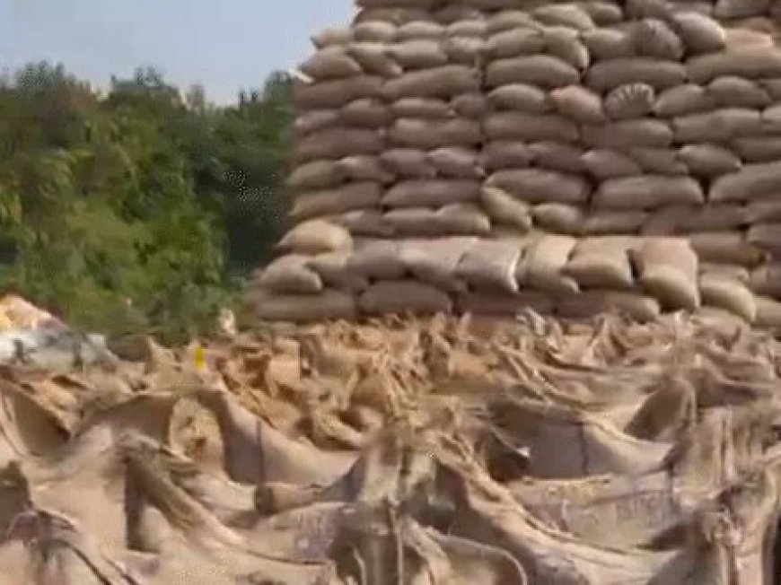 छत्तीसगढ़ में धान खरीदी का महाभियान तेज रफ्तार से आगे बढ़ रहा