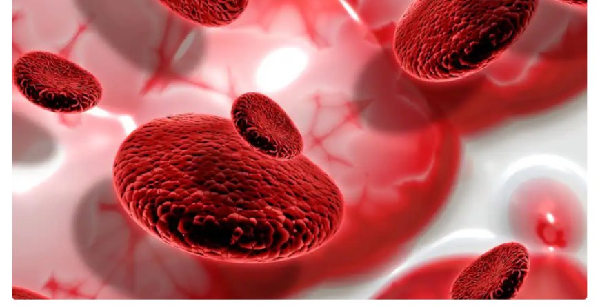 क्या सिर्फ हेल्दी फूड खाने से साफ हो जाती हैं खून की नसें? 99 पर्सेंट लोग कर बैठते हैं ये गलतियां