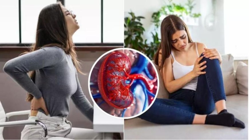 क्या आप भी पैर और कमर दर्द को मान रहे हैं साधारण? ये हो सकते हैं किडनी की गंभीर बीमारी के संकेत, न करें अनदेखा