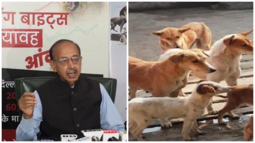 आवारा कुत्तों पर SC की टिप्पणियों का गोयल ने किया स्वागत, बोले- आवारा कुत्तों को खाना डालने वालों के खिलाफ FIR की जाए दर्ज
