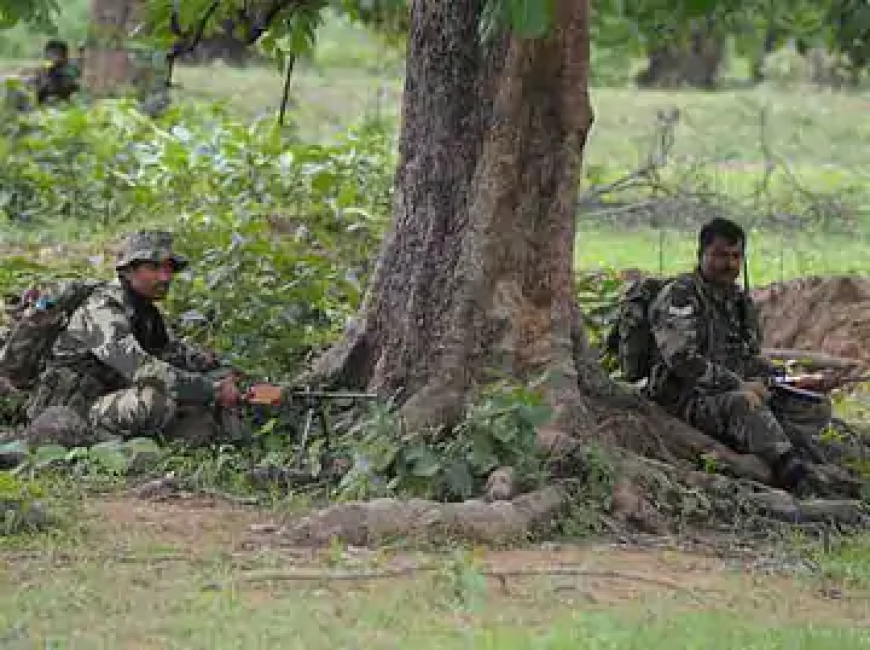 बीजापुर के नेशनल पार्क के जंगलों में सुरक्षाबलों और नक्सलियों के बीच मुठभेड़ जारी