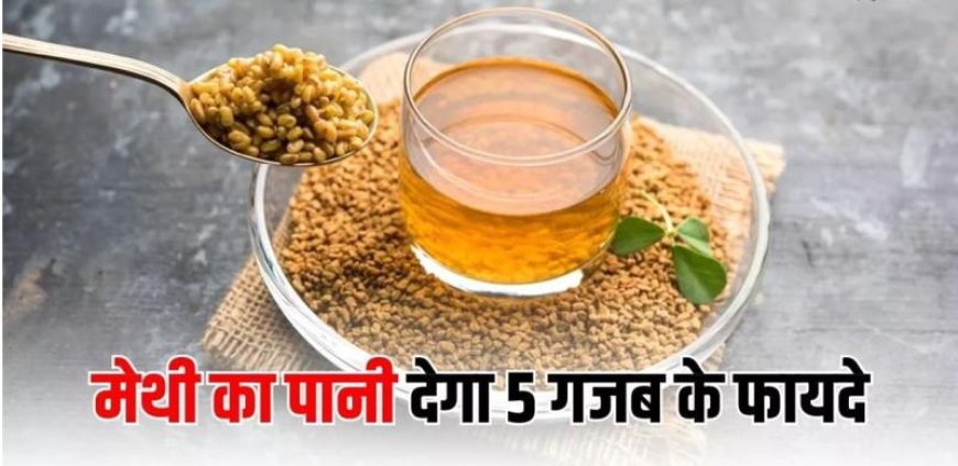 मेथी का पानी बनेगा नेचुरल मेडिसिन: रोज़ खाली पेट पीने से शुगर और मोटापे समेत कई स्वास्थ्य समस्याओं से मिलेगी राहत