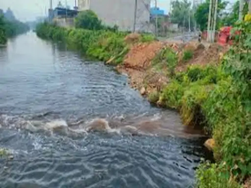 राज्य सरकार ने छह प्रमुख नदियों में गिर रहे नाले के गंदे पानी को लेकर प्रदेश के सभी नगरीय निकायों से जवाब-तलब किया