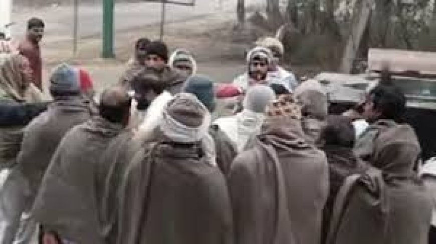 सामूहिक रूप से जहर देकर कुत्तों को मारने का आरोप