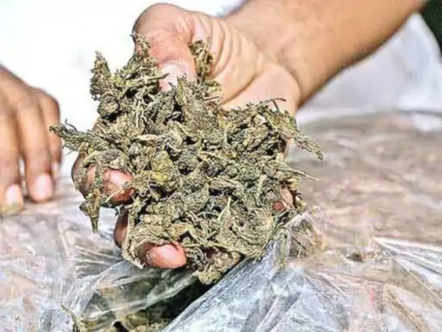 फिल्मी स्टाइल में महासमुंद में बैरियर तोड़कर फरार हुए महाराष्ट्र के गांजा तस्करों को विधानसभा पुलिस ने गिरफ्तार किया