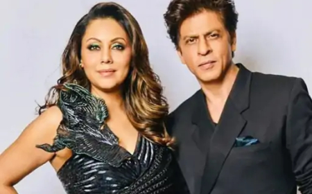 एक्ट्रेस नीलम कोठारी ने हाल ही में कहा कि शाहरुख खान और गौरी की लव स्टोरी में उनका भी बड़ा हाथ रहा