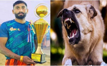 रेबीज से बचाव के लिए जरूरी डॉग शेल्टर, राजेश-बृजेश की दर्दनाक कहानी