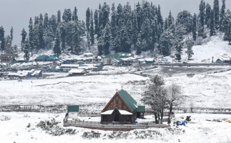 मौसम ने बदली करवट: पहाड़ी इलाकों में बर्फबारी, मैदानी क्षेत्रों में बारिश और घना कोहरा