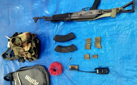 छत्तीसगढ़ के बीजापुर जिले में सुरक्षाबलों ने नक्सली कमांडर उधम सिंह का एनकाउंटर कर दिया