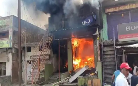 जांजगीर-चांपा जिले के बलौदा बस स्टैंड के पास स्थित राजू इलेक्ट्रॉनिक दुकान में गुरुवार दोपहर भीषण आग लग गई