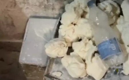 रायपुर के चौरसिया कॉलोनी स्थित चांद ब्रेड फैक्ट्री में अनहाइजीन तरीके से बेकरी आयटम्स बनकर तैयार हो रहे