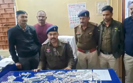 एमसीबी जिले के पौड़ी थाना क्षेत्र में हुई चोरी के मामले में पुलिस को बड़ी सफलता मिली