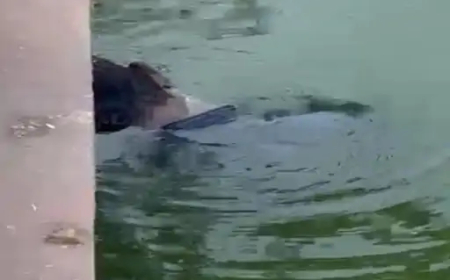 रायपुर के कंकाली पारा तालाब में शनिवार को एक युवक की लाश मिली