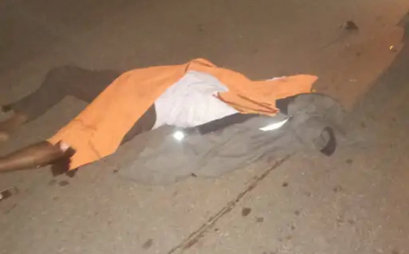 दुर्ग में रात में बाइक सवार व्यक्ति सड़क किनारे खड़ी लकड़ी की गाड़ी से टकरा गया