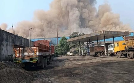 रायगढ़ कार्बन प्लांट में भीषण हादसा: आग में झुलसी मासूम की मौत, 6 मजदूर 80-90% तक झुलसे, 3 वेंटिलेटर पर