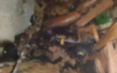 'आत्महत्या के लिए मैं जिम्मेदार' लिखकर खुद को जलाया