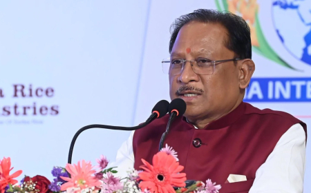 छत्तीसगढ़ में डिजिटल जनगणना पर सख्ती, गलत जानकारी देने पर एफआईआर के निर्देश