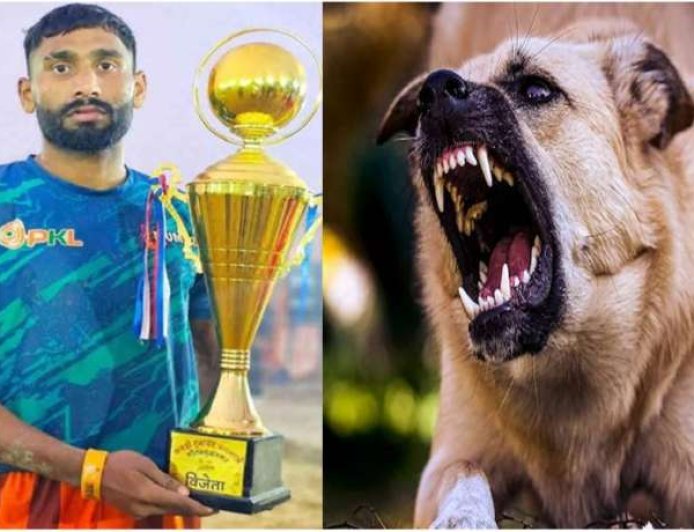 रेबीज से बचाव के लिए जरूरी डॉग शेल्टर, राजेश-बृजेश की दर्दनाक कहानी
