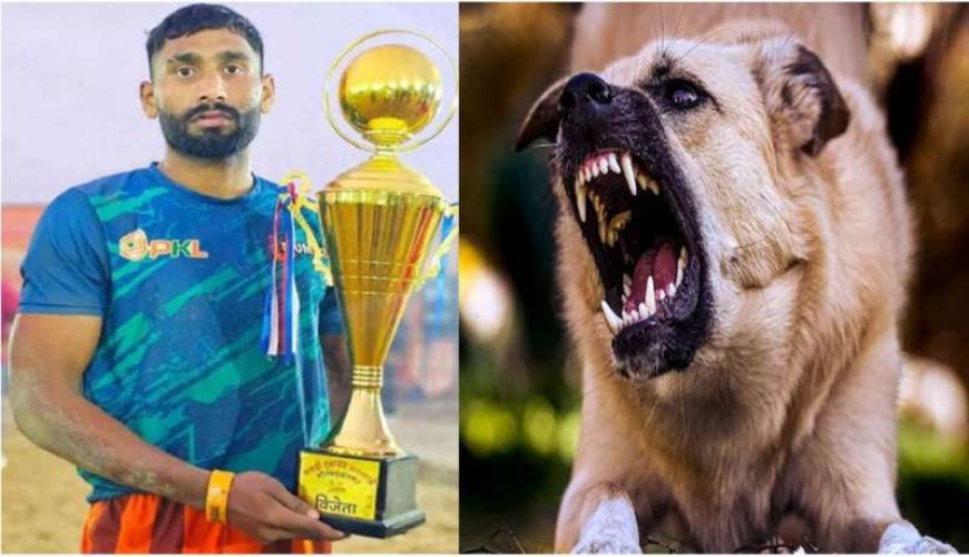 रेबीज से बचाव के लिए जरूरी डॉग शेल्टर, राजेश-बृजेश की दर्दनाक कहानी