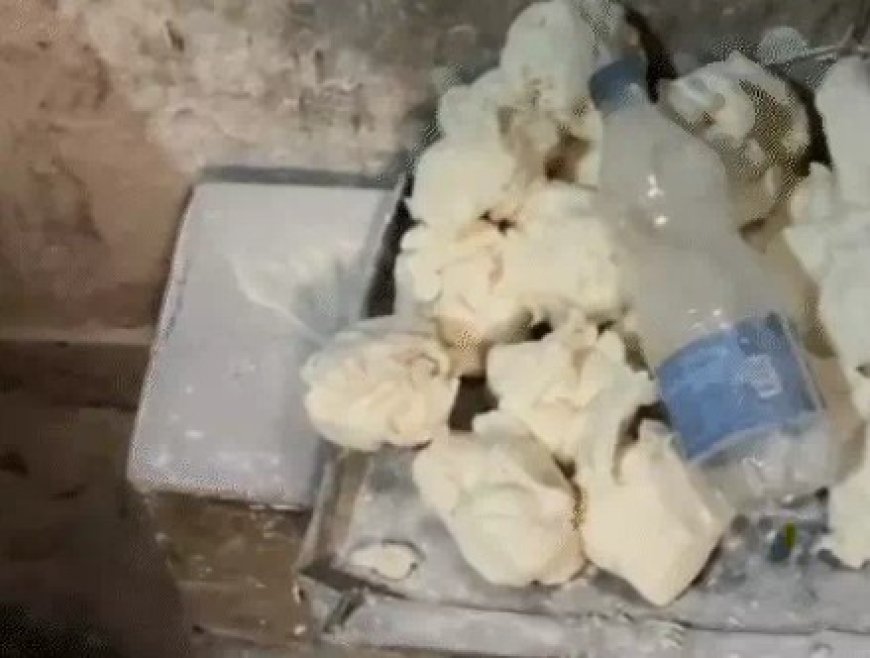 रायपुर के चौरसिया कॉलोनी स्थित चांद ब्रेड फैक्ट्री में अनहाइजीन तरीके से बेकरी आयटम्स बनकर तैयार हो रहे