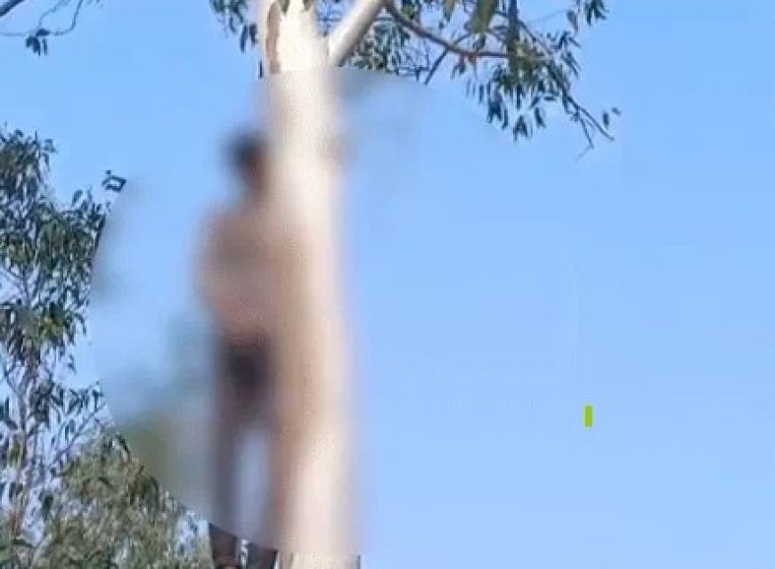 छत्तीसगढ़ के गौरेला-पेंड्रा-मरवाही जिले में वेलेंटाइन वीक में लिव इन में रह रहे एक कपल ने शादी में हो रही देरी के कारण सुसाइड कर लिया