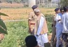 दुर्ग में अफीम की अवैध खेती का खुलासा, मामले पर गरमाई छत्तीसगढ़ की राजनीति