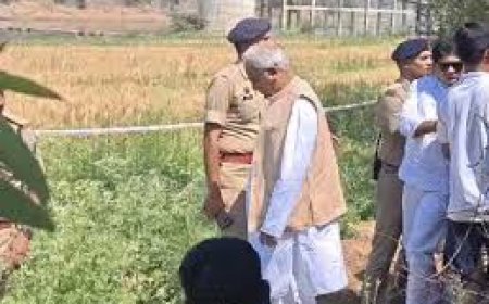 दुर्ग में अफीम की अवैध खेती का खुलासा, मामले पर गरमाई छत्तीसगढ़ की राजनीति