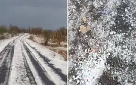 Chhattisgarh Weather Update: बारिश-ओलावृष्टि से गिरा तापमान, कई जिलों में नुकसान और हादसे