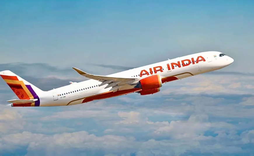 Air India Dubai Flights Cancelled: दुबई एयरपोर्ट पर आग की घटना के बाद एयर इंडिया ने सभी उड़ानें अस्थायी रूप से की रद्द