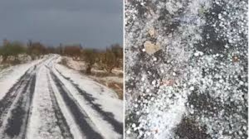 Chhattisgarh Weather Update: बारिश-ओलावृष्टि से गिरा तापमान, कई जिलों में नुकसान और हादसे