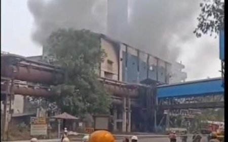 Bhilai Steel Plant Fire: टर्बाइन सेक्शन में धमाका, आग से मचा हड़कंप, कई कर्मचारी झुलसे