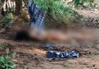 रायगढ़ में महिला वकील की हत्या: डैम किनारे जंगल में मिला शव, चेहरा कुचलकर पहचान मिटाने की कोशिश