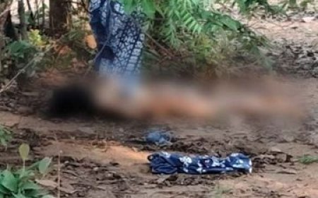 रायगढ़ में महिला वकील की हत्या: डैम किनारे जंगल में मिला शव, चेहरा कुचलकर पहचान मिटाने की कोशिश