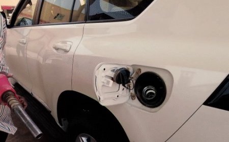 E20 पेट्रोल से बढ़ीं वाहन मालिकों की परेशानियां! टैंक में काली फंगस, माइलेज कम और सर्विसिंग खर्च बढ़ा