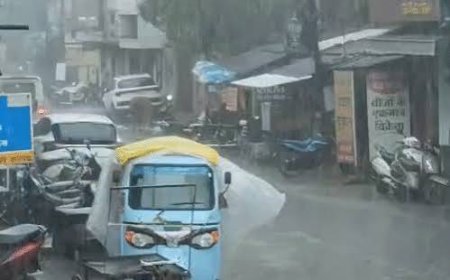 छत्तीसगढ़ में मानसून हुआ पूरी तरह सक्रिय, अगले 7 दिन भारी बारिश के संकेत; कई जिलों में यलो अलर्ट