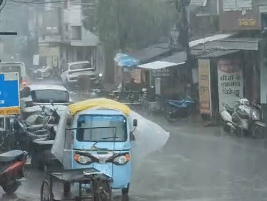 छत्तीसगढ़ में मानसून हुआ पूरी तरह सक्रिय, अगले 7 दिन भारी बारिश के संकेत; कई जिलों में यलो अलर्ट
