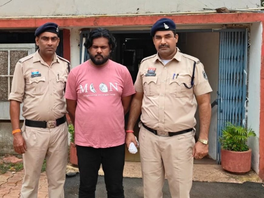 भिलाई में तंत्र-मंत्र और ट्रेडिंग के नाम पर 85 लाख की ठगी: जिन्न-प्रेत का डर दिखाया, पति की मौत के बाद भी ऐंठता रहा पैसा