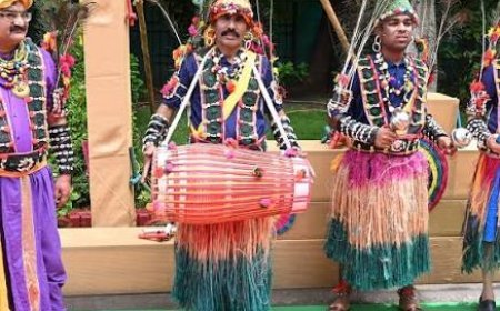 हरेली तिहार की धूम: मुख्यमंत्री निवास में पारंपरिक कार्यक्रम, पूरे छत्तीसगढ़ में उत्सव का माहौल
