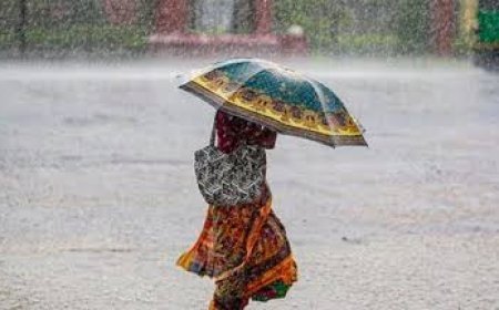 छत्तीसगढ़ के 24 जिलों में भारी बारिश का अलर्ट, 1 सितंबर को वज्रपात की भी चेतावनी; जानें मौसम का पूरा हाल