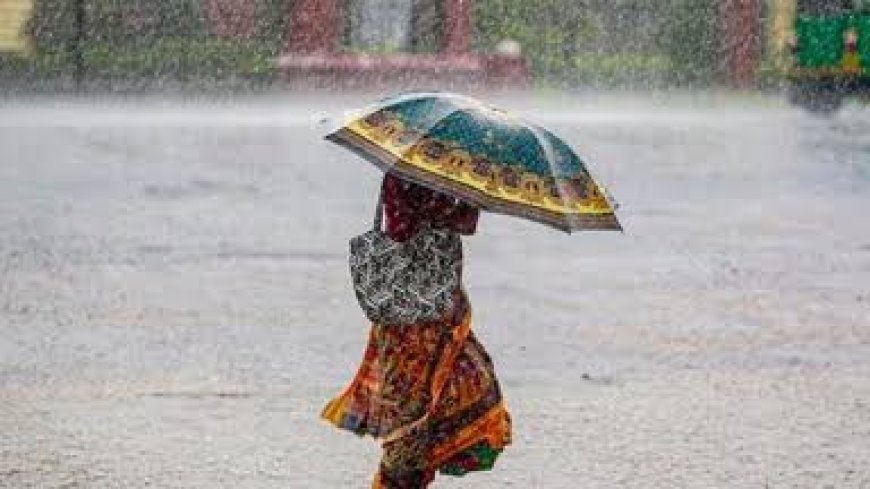 छत्तीसगढ़ के 24 जिलों में भारी बारिश का अलर्ट, 1 सितंबर को वज्रपात की भी चेतावनी; जानें मौसम का पूरा हाल